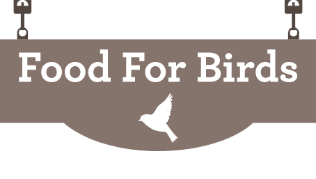 Food For Birds